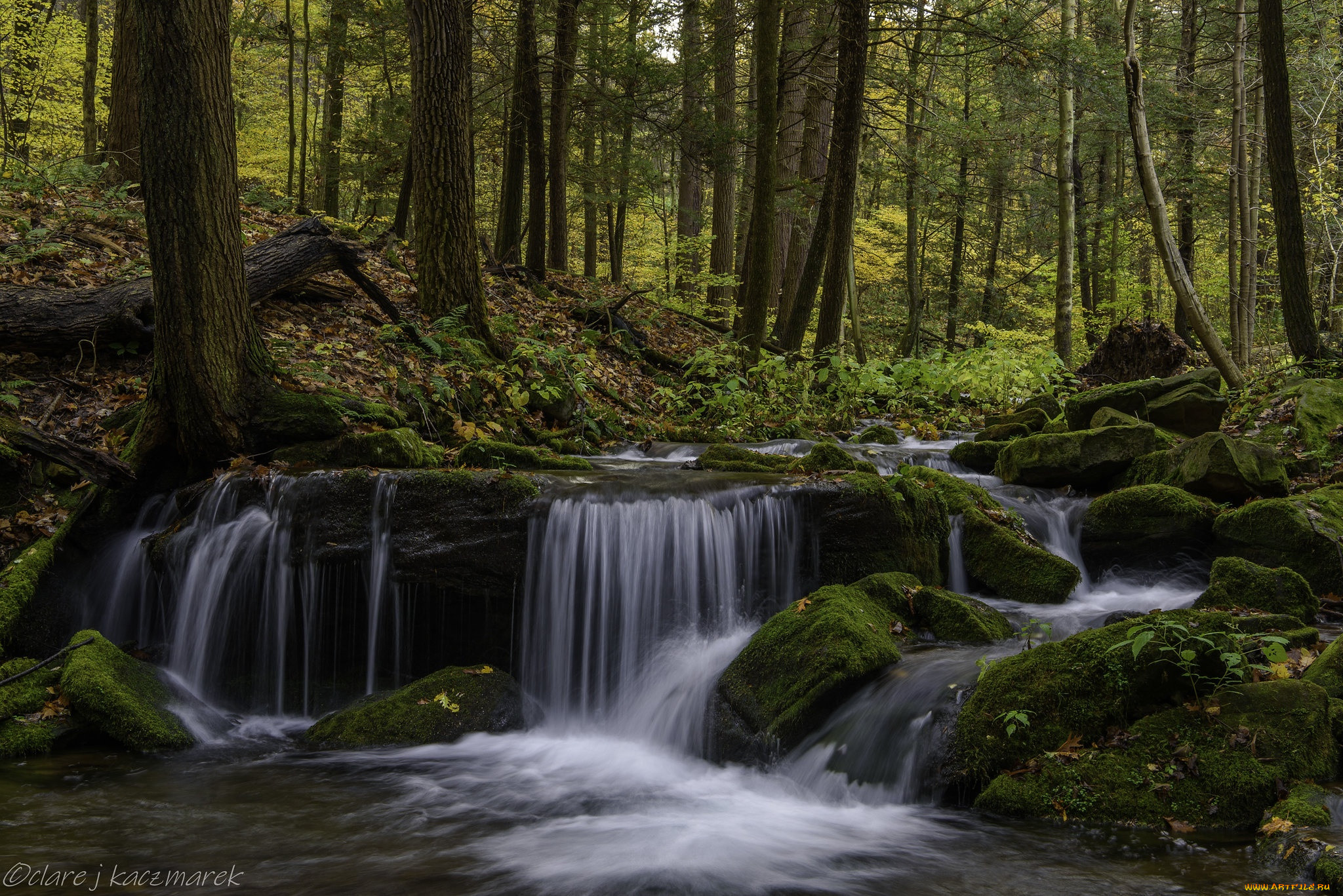 �������, ��������, ������